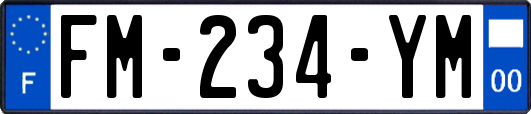 FM-234-YM