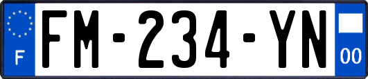 FM-234-YN