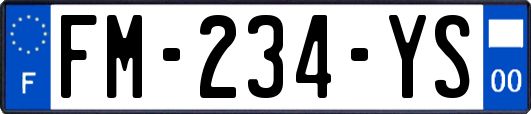 FM-234-YS