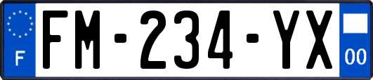 FM-234-YX
