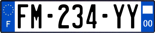 FM-234-YY