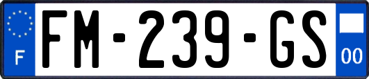 FM-239-GS
