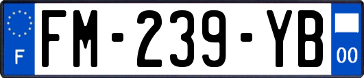 FM-239-YB