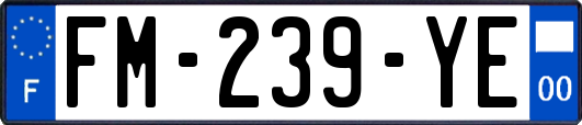 FM-239-YE