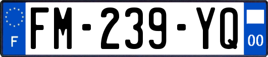 FM-239-YQ