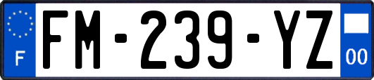 FM-239-YZ