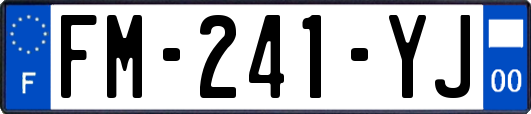 FM-241-YJ