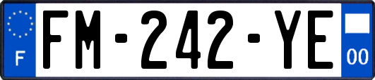 FM-242-YE