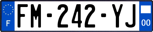FM-242-YJ