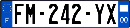 FM-242-YX