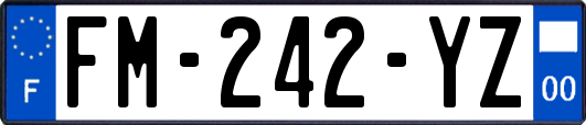 FM-242-YZ