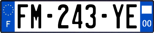 FM-243-YE