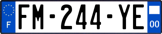 FM-244-YE