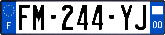 FM-244-YJ