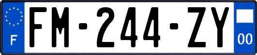 FM-244-ZY