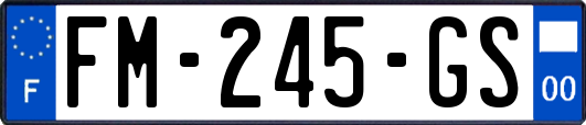 FM-245-GS