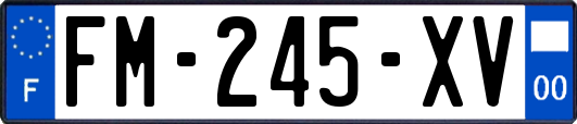 FM-245-XV