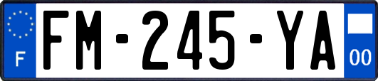FM-245-YA