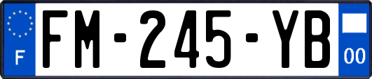 FM-245-YB