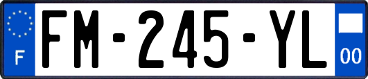 FM-245-YL