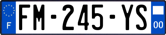FM-245-YS