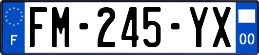 FM-245-YX