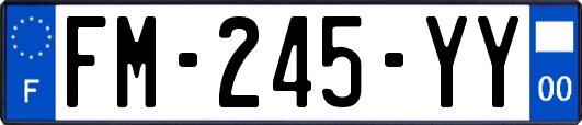 FM-245-YY