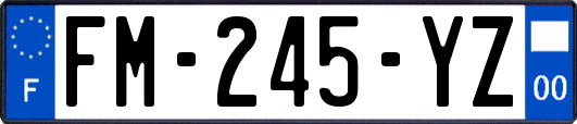 FM-245-YZ