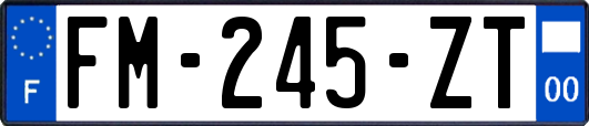 FM-245-ZT