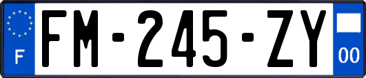 FM-245-ZY