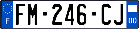 FM-246-CJ