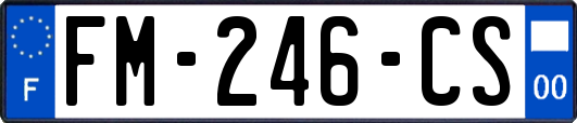 FM-246-CS