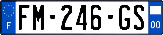 FM-246-GS