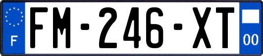 FM-246-XT