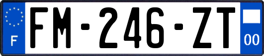 FM-246-ZT