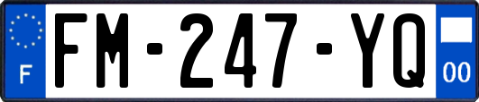 FM-247-YQ