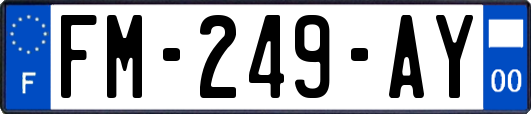 FM-249-AY