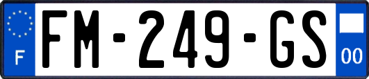 FM-249-GS