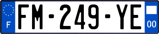 FM-249-YE