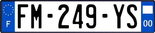 FM-249-YS