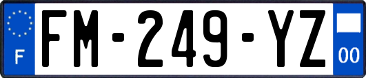 FM-249-YZ