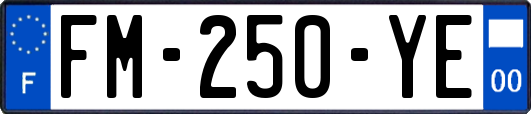 FM-250-YE