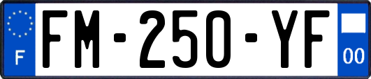 FM-250-YF