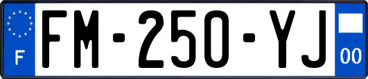 FM-250-YJ