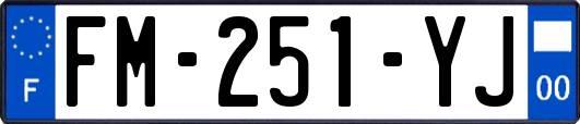 FM-251-YJ