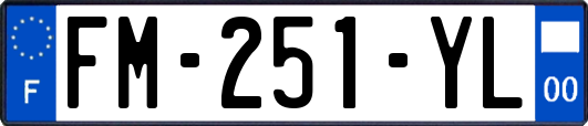FM-251-YL
