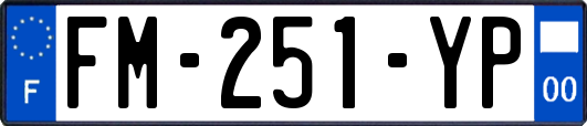 FM-251-YP