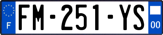 FM-251-YS