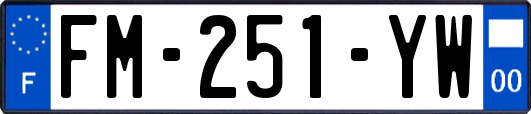 FM-251-YW