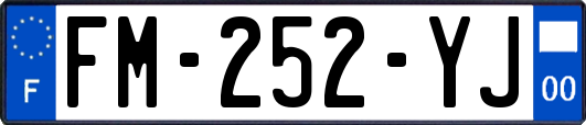 FM-252-YJ
